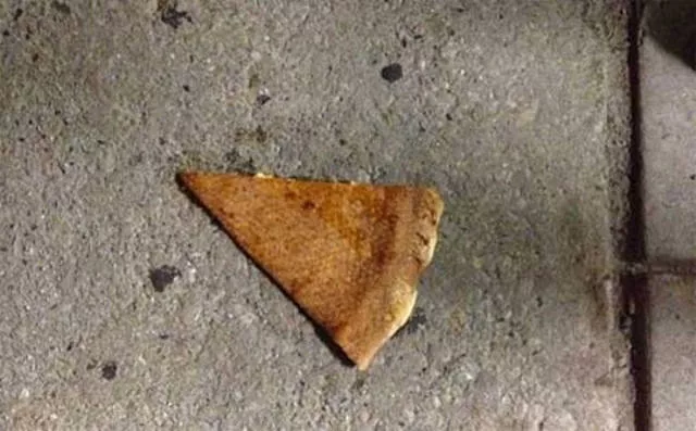 How you know its going to be a bad day - #34 