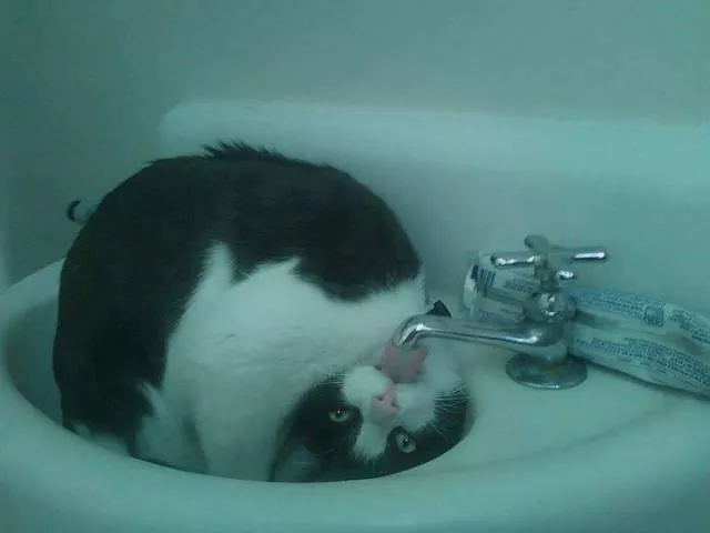 Picdump 239 - #3 