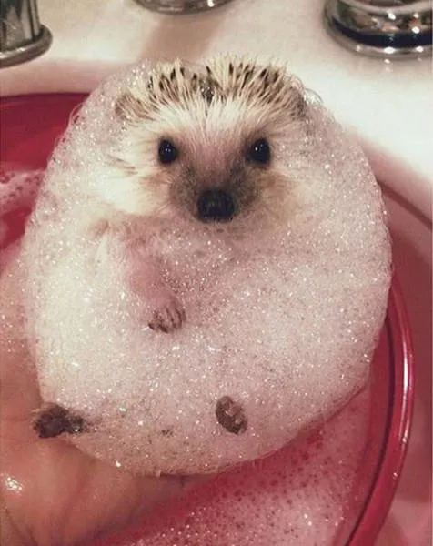 Picdump 240 - #10 