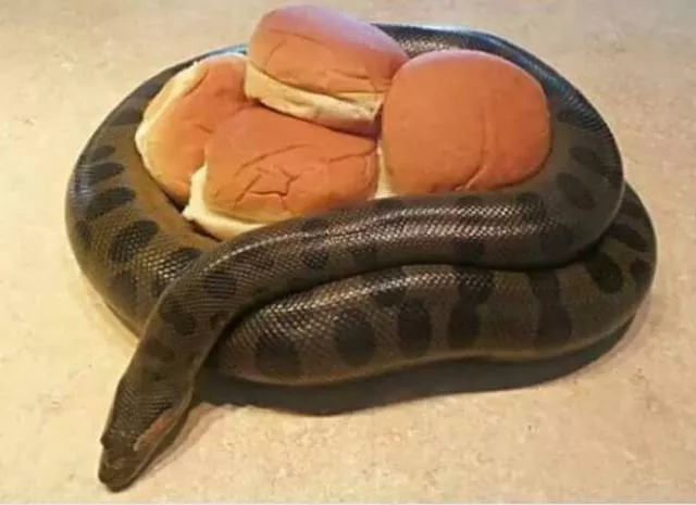 Picdump 240 - #15 