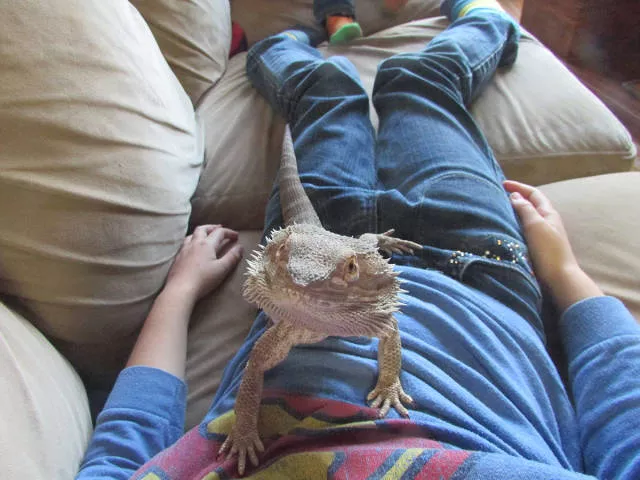 Picdump 240 - #16 