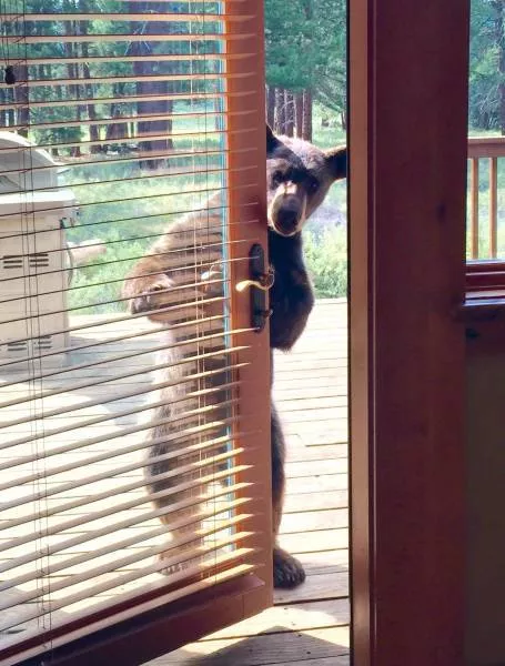 Picdump 240 - #19 