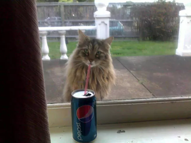 Picdump 240 - #25 