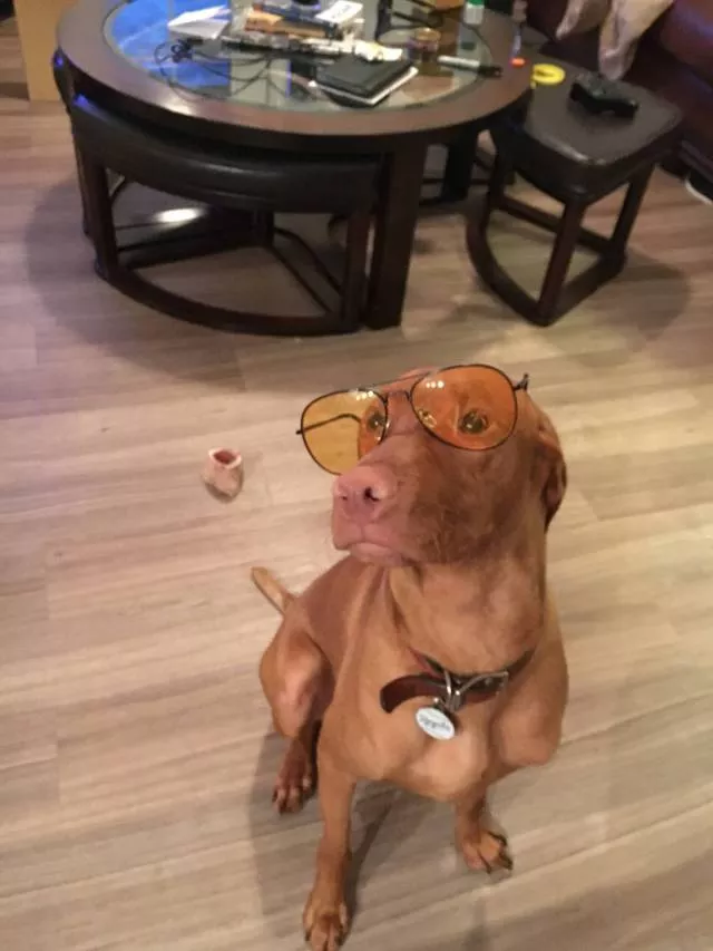 Picdump 240 - #36 