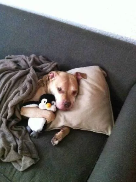 Picdump 240 - #40 