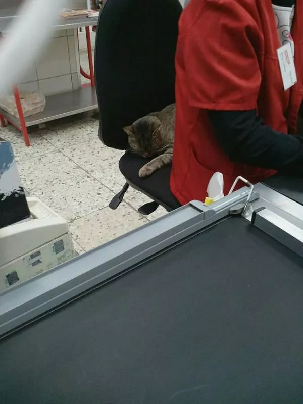 Picdump 240 - #8 