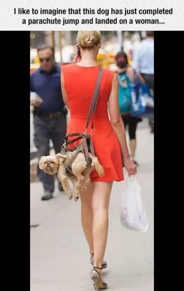 Picdump 241 - #14 