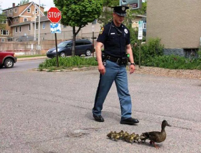 Picdump 241 - #55 