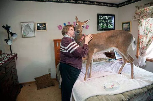 Picdump 241 - #58 