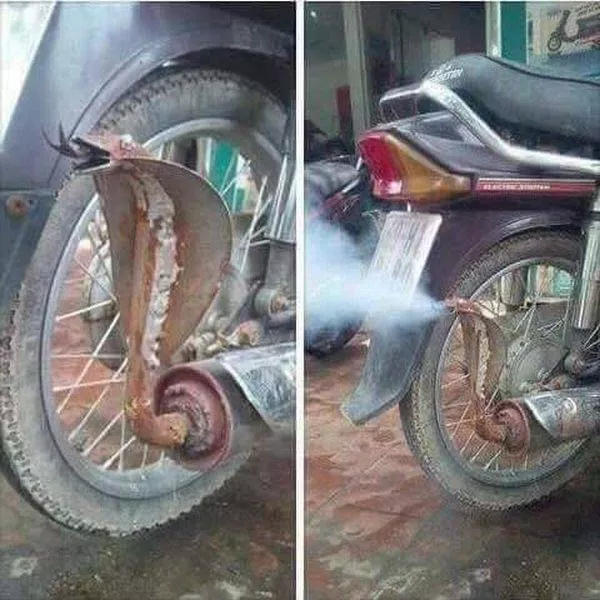 Picdump 241 - #66 