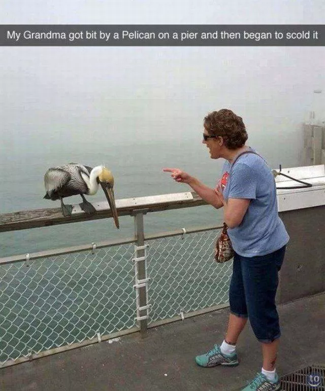 Picdump 241 - #75 