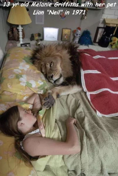 Picdump 241 - #8 