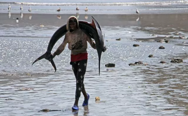 Picdump 241 - #82 