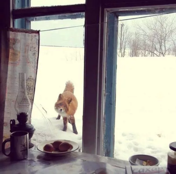 Picdump 241 - #85 