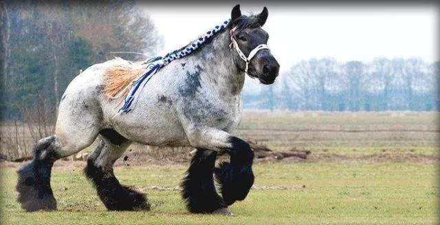 Picdump 241 - #87 