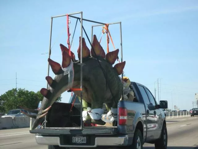 Picdump 142 - #17 