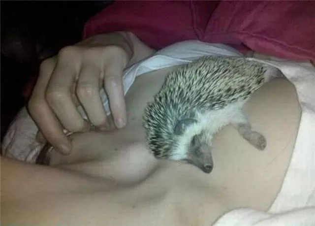 Picdump 142 - #9 