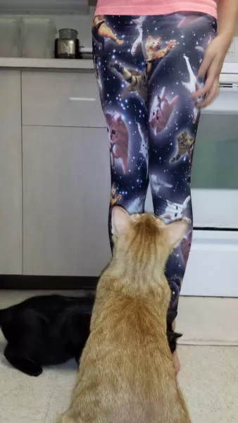 The most crazy clothes in the world - #23 