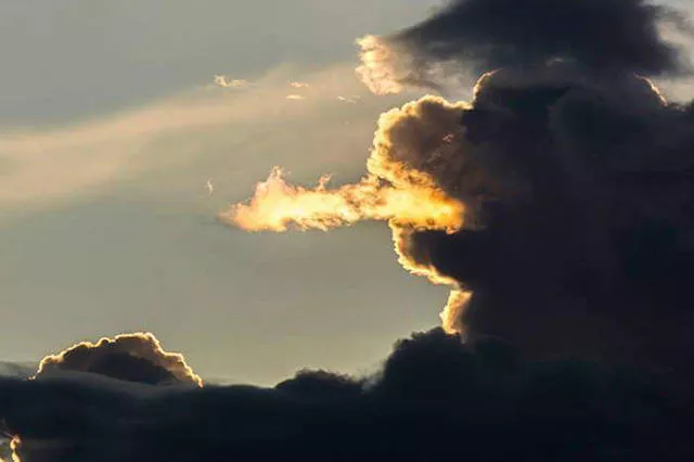Pictures taken at the perfect moment - #31 