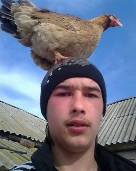Funny russian pictures found in social networks - #8 