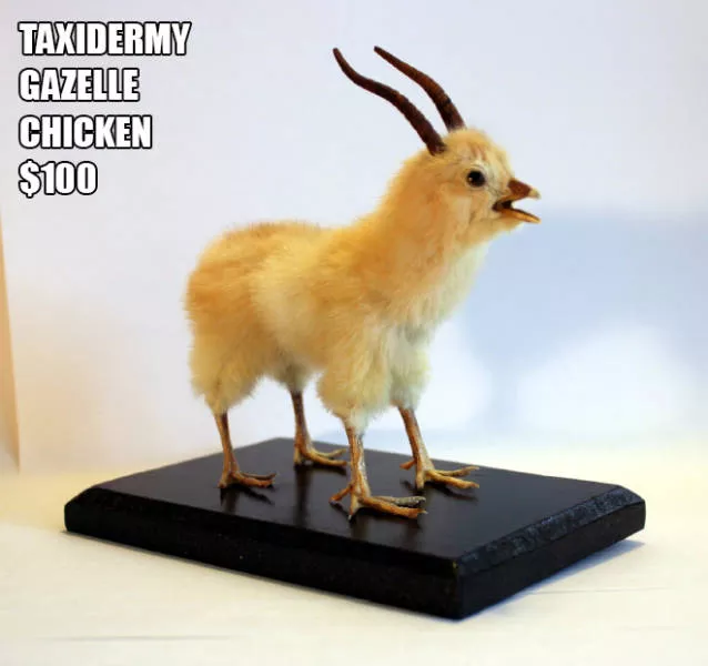 The worst things you can offer as a gift - #4 