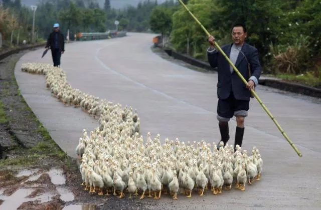 These photos should be the most liked on social networks - #15 