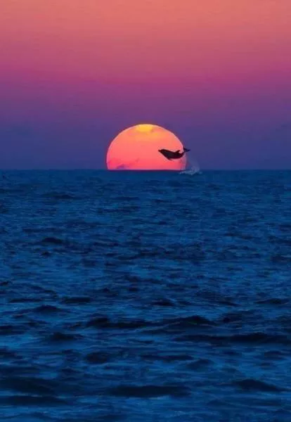These photos should be the most liked on social networks - #18 