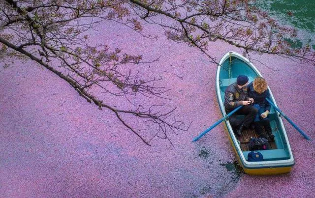 These photos should be the most liked on social networks - #25 
