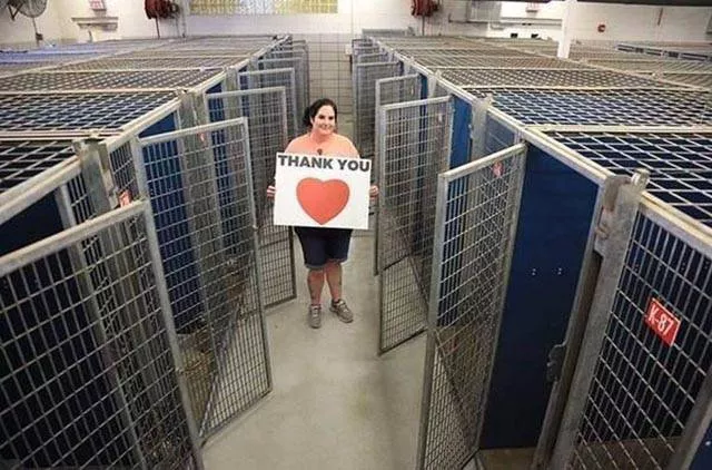 These photos should be the most liked on social networks - #26 