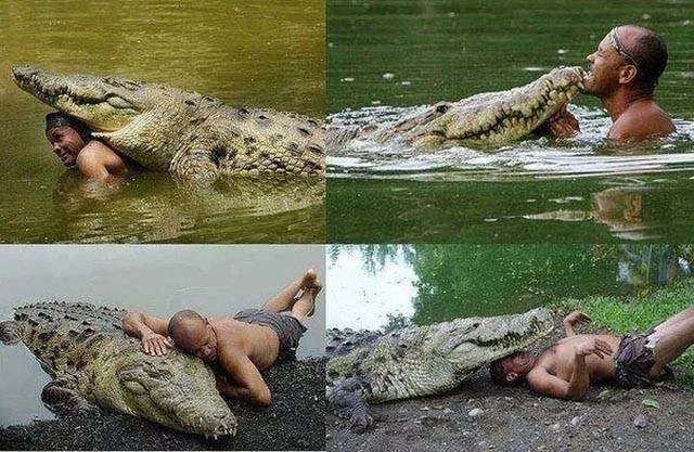 These photos should be the most liked on social networks - #29 