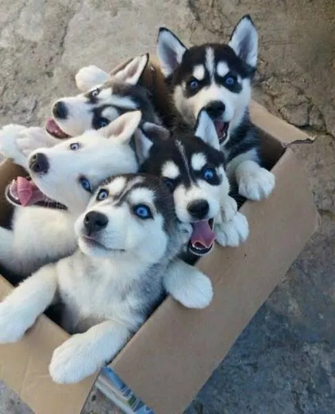 These photos should be the most liked on social networks - #3 