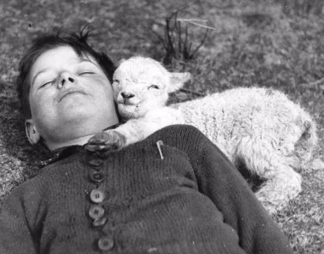 These photos should be the most liked on social networks - #31 
