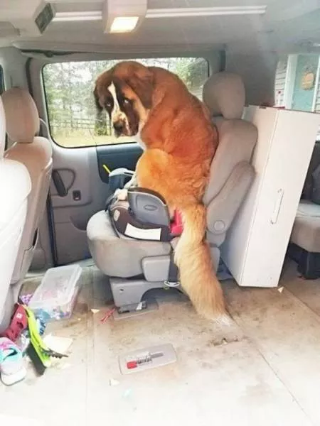 These photos should be the most liked on social networks - #32 