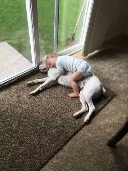Picdump 145 - #16 