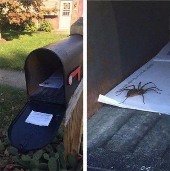 Picdump 145 - #49 