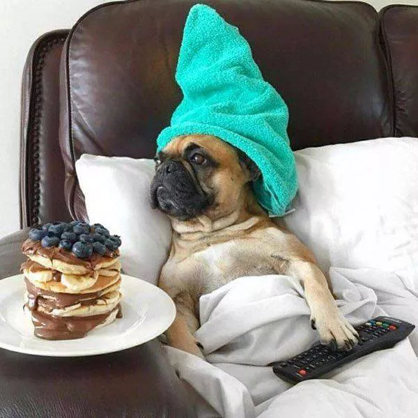 Picdump 145 - #56 