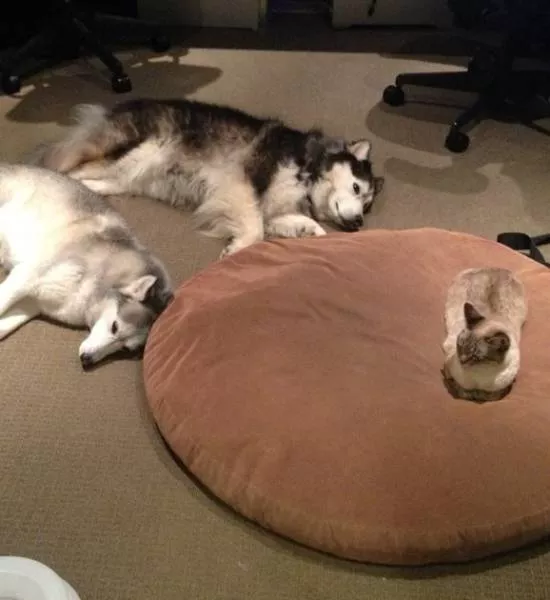 Picdump 146 - #42 