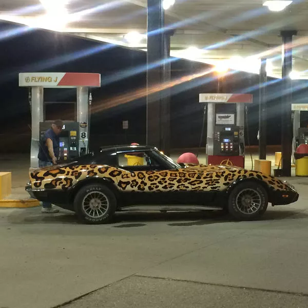 Picdump 146 - #43 