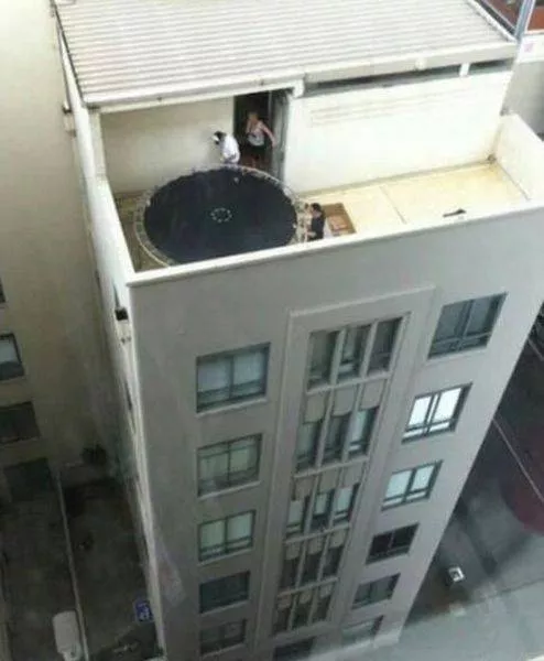 Picdump 147 - #11 