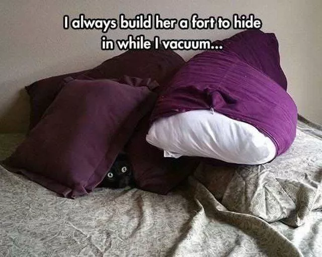 Picdump 147 - #13 