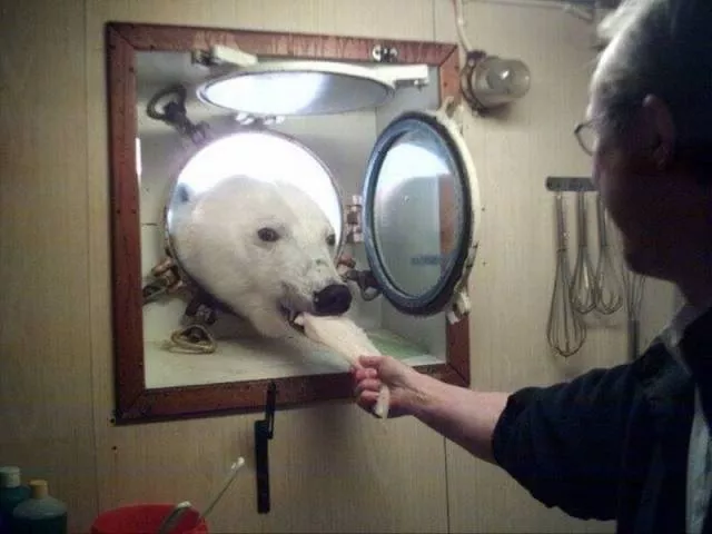 Picdump 147 - #26 