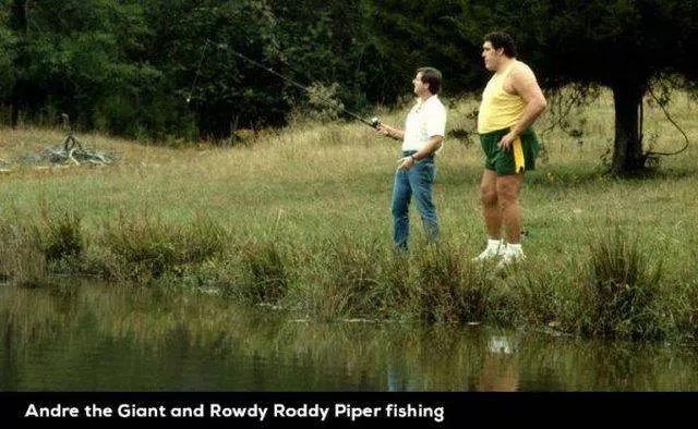 Picdump 147 - #31 
