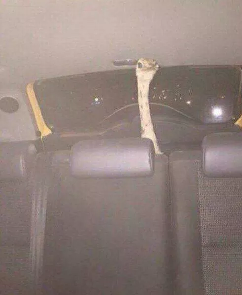 Picdump 147 - #4 