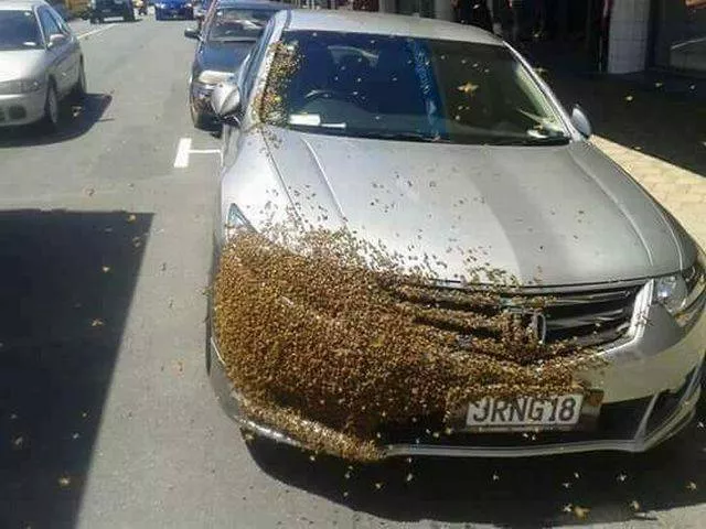 Picdump 147 - #59 