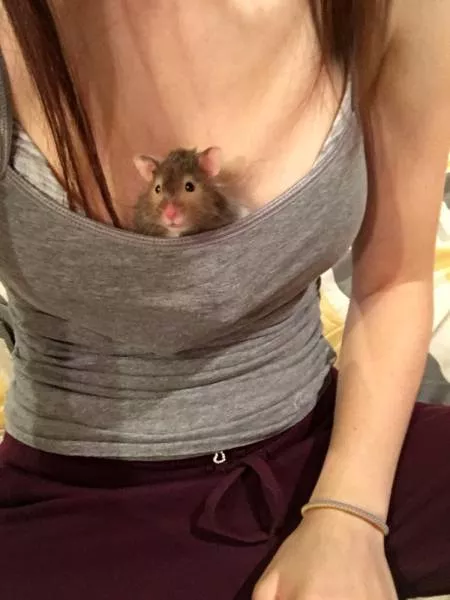 Picdump 147 - #73 