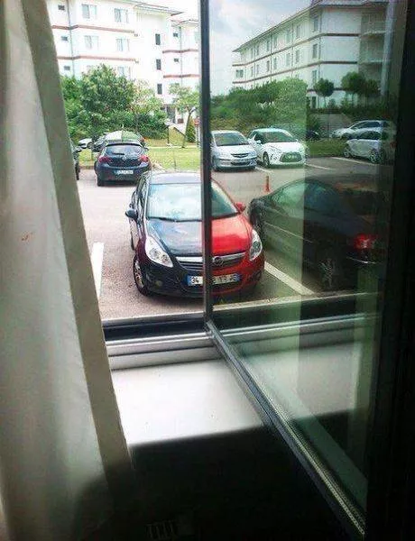 Picdump 147 - #75 