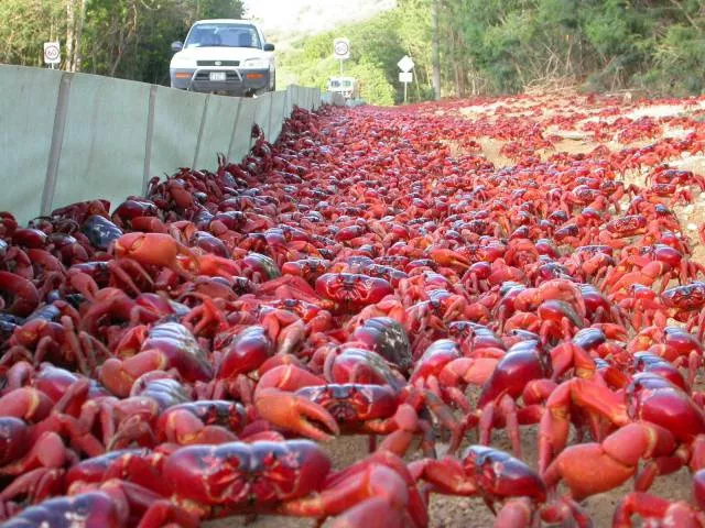 Picdump 147 - #88 