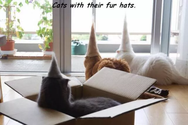 Picdump 147 - #93 