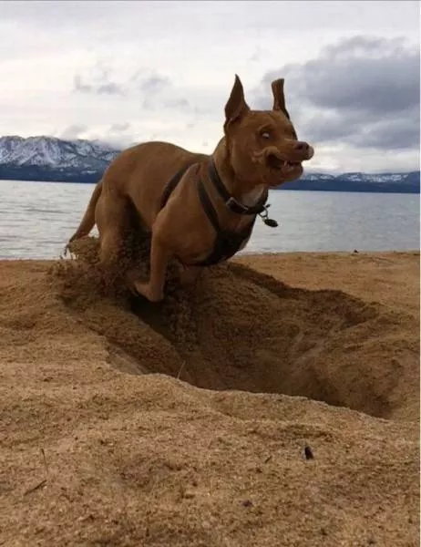 Picdump 148 - #10 