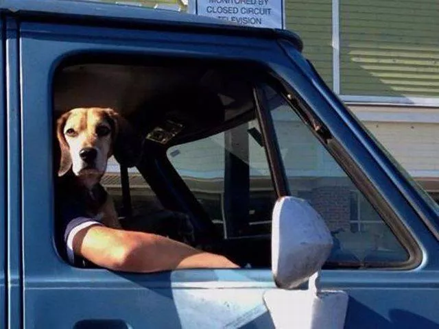 Picdump 148 - #17 